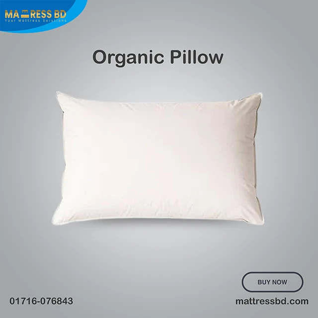 Organic Pillow