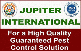 Jupiter International